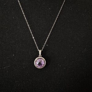 Delicate Amethyst Necklace Sterling Silver Chain
